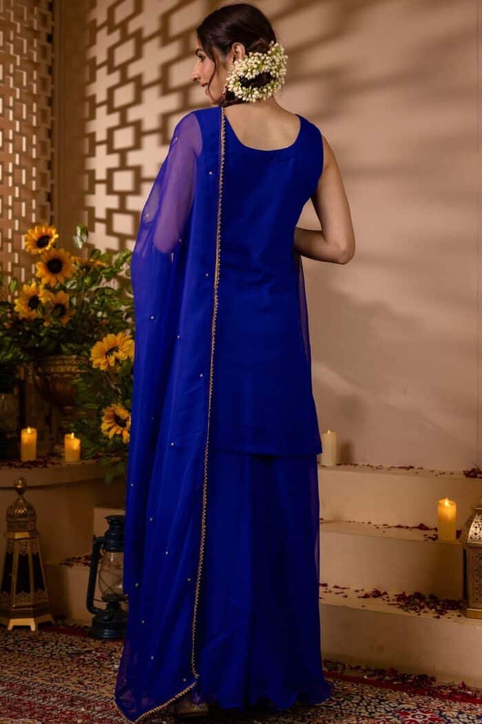 Noor-e-Neel Sharara Set - Image 3