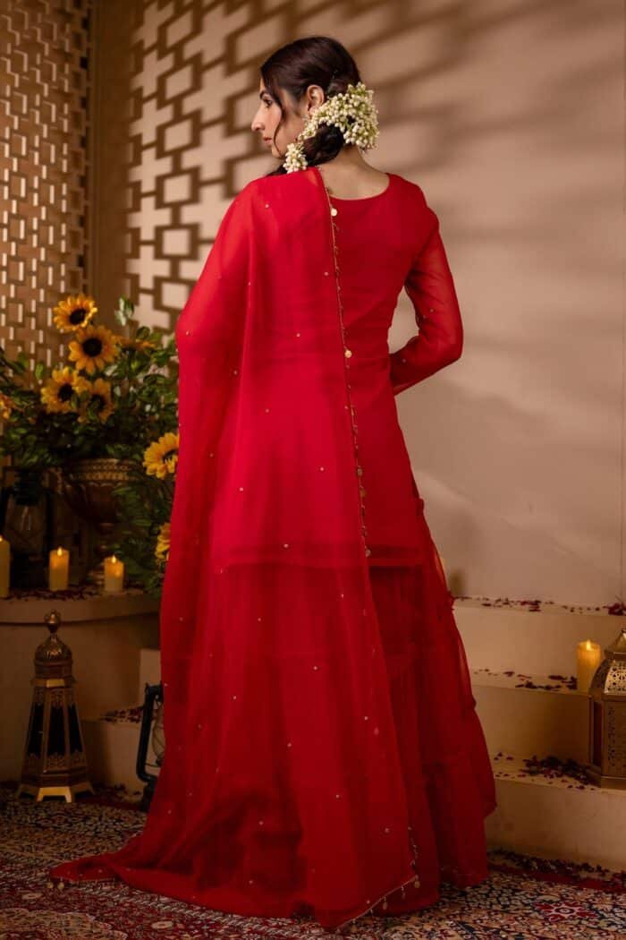 Shehzadi Sharara Set - Image 3