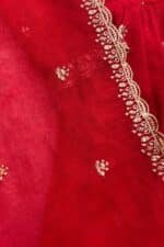 Apsara Red Suit Set - Image 6