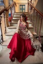 Meher Jaal Dupatta Suit Set - Image 5