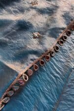 Aaina Sharara Set - Image 7