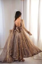 Dilruba Copper Suit Set - Image 4