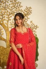 Reet Bandhini Suit Set - Image 6