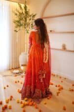 Aabha Bandhini Suit Set - Image 5