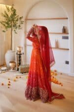 Aabha Bandhini Suit Set - Image 3