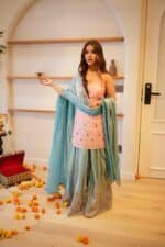 Roshni Sharara Set - Image 3